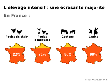 http://www.viande.info/schemas/elevage-intensif-ecrasante-majorite-France