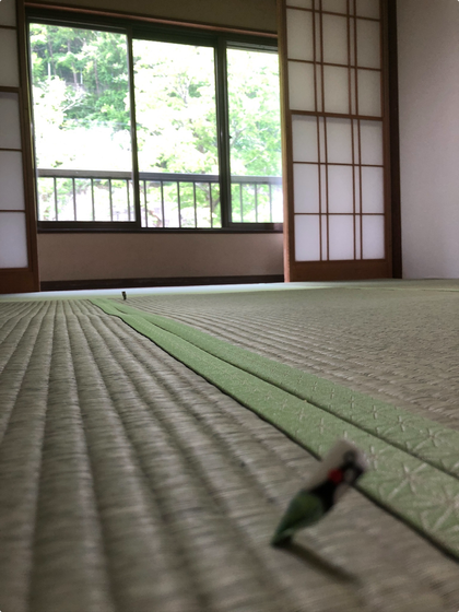 <div style="text-align:center;"> <img src="【画像①】" alt="障子を開けると緑豊かな景色が広がる和室の畳替え事例" width="90%"> <small>▲風と光を取り込む大きな窓のある和室</small> </div>