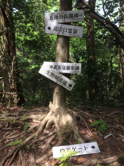 日下山直越の道(筆者撮影)