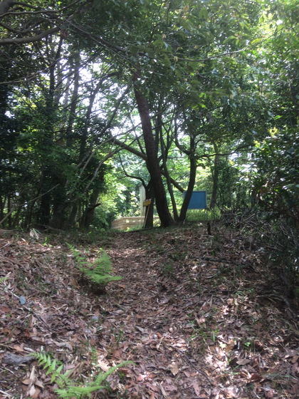 日下山直越の道(筆者撮影)