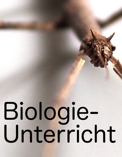 Insekten beobachten BiologieUnterricht im digitalen Zeitalter