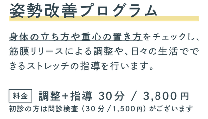 白石区　南郷通　整骨院　