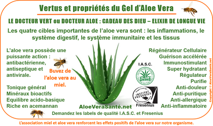 LR Health & AloeVeraSante | l'Aloe Vera en usage interne et externe. L'aloe vera est un remède exceptionnel contre les brûlures et les blessures
