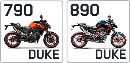 Suzuki SV 650 Sportauspuff