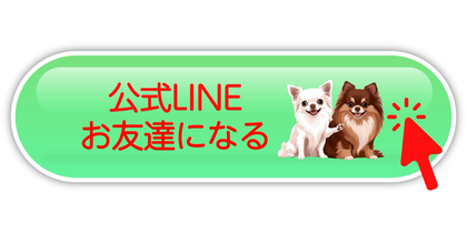 ⬆️ 体験レッスンお申込みはこちらからもできます⬆️