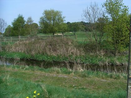 Pype Hayes golf course viewed from Pype Hayes Park across Plantsbrook