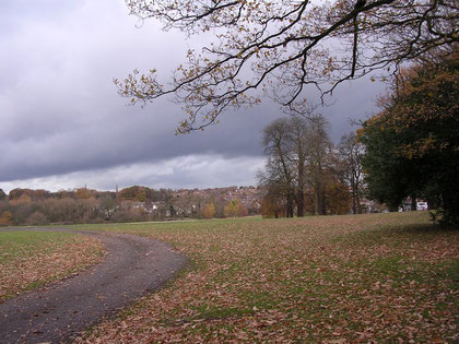 Low rising Cat Hill viewed from Pype Hayes Park. The valley of the Plantsbrook lies across the middle ground of the photograph.