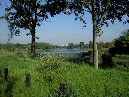 Kingshurst Lake looking east. Kingshurst is out of site behind the trees on the left of the photograph. The flats of central Chelmsley Wood are in the background. The lake powered Babbs Mill at the near end of the lake.