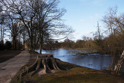 Trittford Lake photographed by Ted & Jen on Flickr reused under Creative Commons Licence Attribution 2.0 Generic.