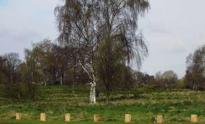 Hodge Hill common viewed from Coleshill Road