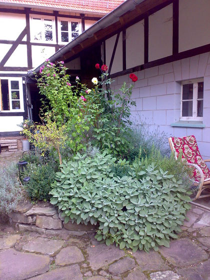 Idyllisches Bauernhaus im Michaeliskirchenviertel in Hedemünden zu