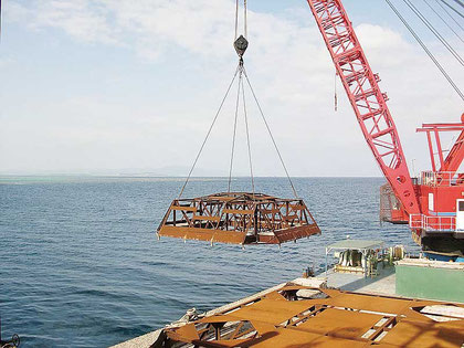 14日、石垣島と竹富島間の海域で設置された漁礁(石垣市提供)
