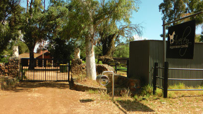 Pferderanch Aveley Eqestrian Centre