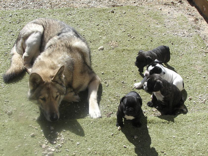 Nata et les petits curieux