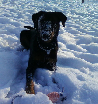 Schneenase Ivette Dez.2010