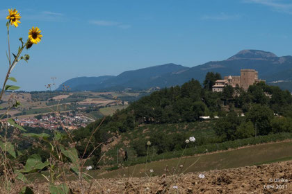 die Locanda liegt direkt unterhalb der Rocca d'Ajello