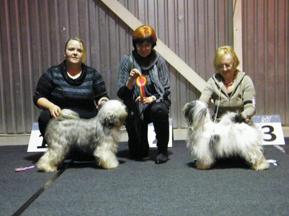 Niilo BOB Pepita BOS under judge Marie Petersen