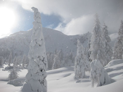 Winter Schladming-Dachstein Ski amadé