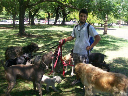 ARGENTINA…. Domínguez de Recoleta.