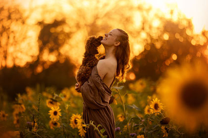 Fotoshooting Sonnenblumen im Sonnenuntergang Pudel und Mensch Portrait