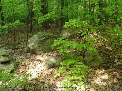 Denkstein an der Abzweigung vom Steinweg nach der Kreuzbuche