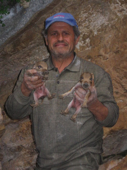 Gaetano La Velocque con in mano due cinghialotti trovati nella grotta dei briganti