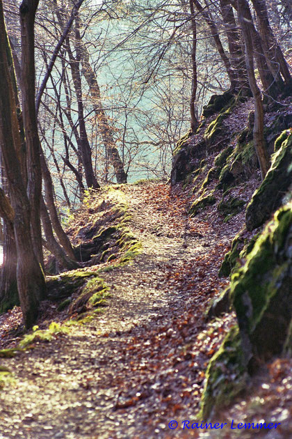 Kroppacher Schweiz Lemmerhome