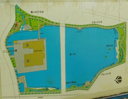 粟が池共園の地図（池の中に我らの教室文化会館、その上池をはさんでフィールドワークした場所）