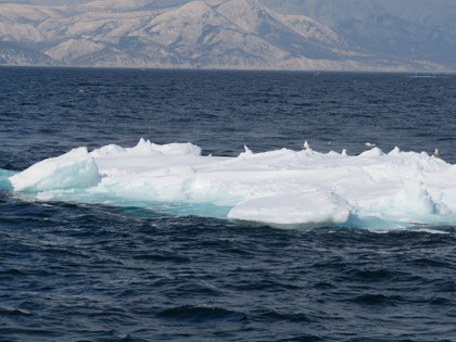 沖に漂う流氷。バックは知床の山。