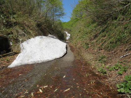 これを何と呼ぶ！(旧河合村楢峠にて)