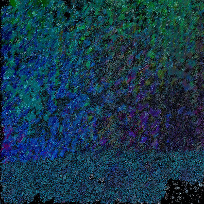 Wintergarden by Hans Benzin - Digital Edition - Limited Edition of 3 - 8640 x 8640 px, JPEG (29.3 MB)