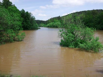 Hochwasser am Sulzbachsee 2013 (N. Bacher www.sfv-schoenaich-steinenbronn.de)