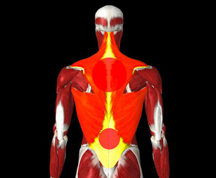 MINIWELL - UniversoColchon