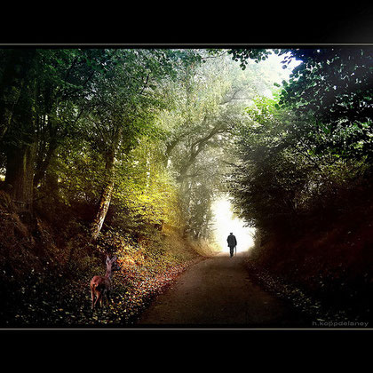 1a passeggiata - Lungo il Sentiero di Umberto Barbera