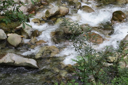 4a Passeggiata - Acqua, pietre, piante.. la Terra che  vive - pensiero di Umberto Barbera