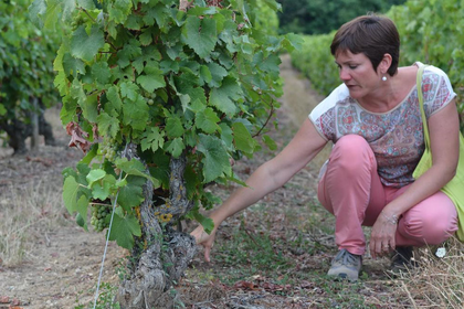 Myriam-Fouasse-Robert-guided-wine-tours-tastings-Loire-Valley-vineyard-Vouvray-Touraine-Tours-Amboise-Rendez-Vous-dans-les-Vignes
