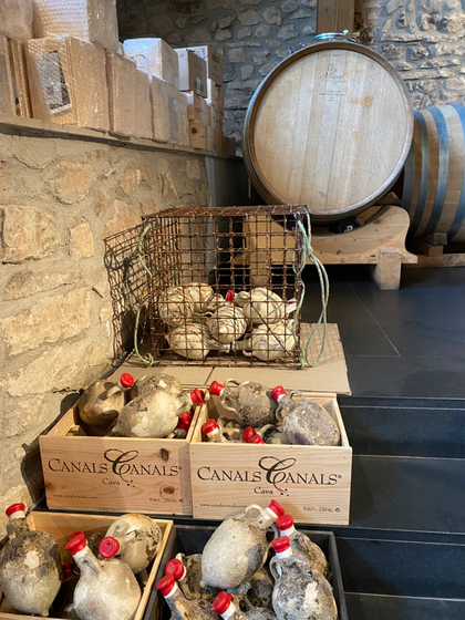 casse di vino in anfora della cantina Bodega Tritium