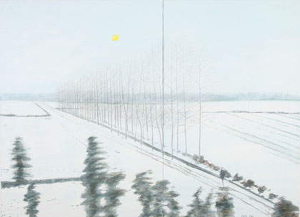 Anhui 05, 48” x 60” / 安徽05, 122cm x 152cm 2010