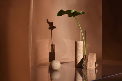 Cochlea della Metamorfosi n.1 | Moderate Brown Mineral Stone