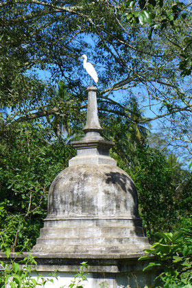 Stupa in Sri Lanka