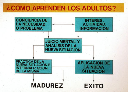 Curso de Restauracion - Lillian Alvarez
