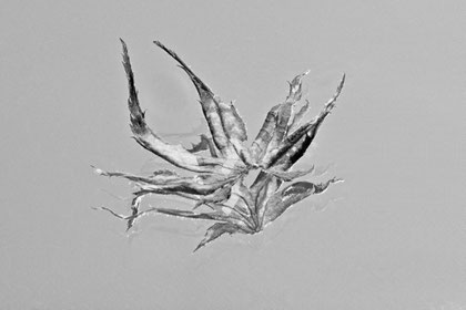 Erinneruung an das Hadern