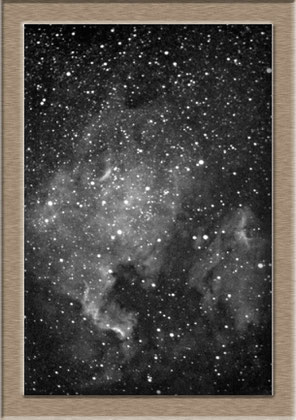 NGC 7000 Northamerica-Nebula - Aufnahme Max Wolf 1891