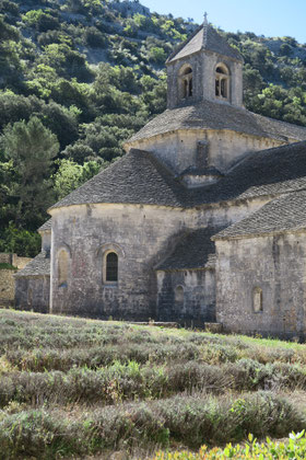 Bild: Abbaye Notre-Dame de Sénanque, Gordes