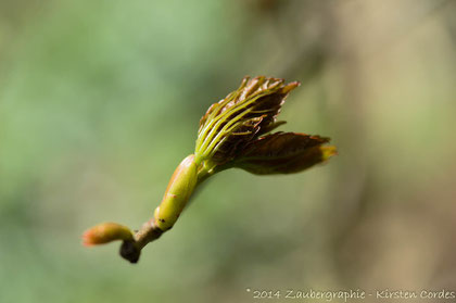 0534 new beginnings 3