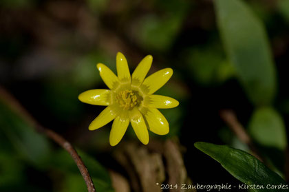 0537 i see the sunshine