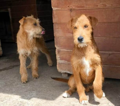 Hugo & Matti 11/2024