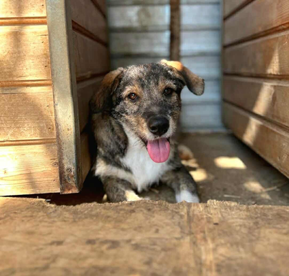 Ernie 01/2025