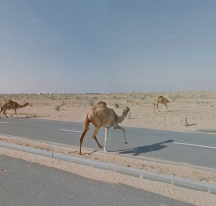 JACQUI KENNI, Sharjah, United Arab Emirates.