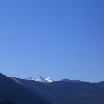 Mittelhorn - Wetterhorn - Schreckhorn